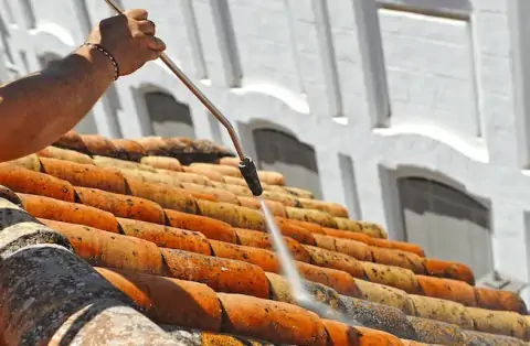 Nettoyage de toitures - Chilleurs-aux-Bois